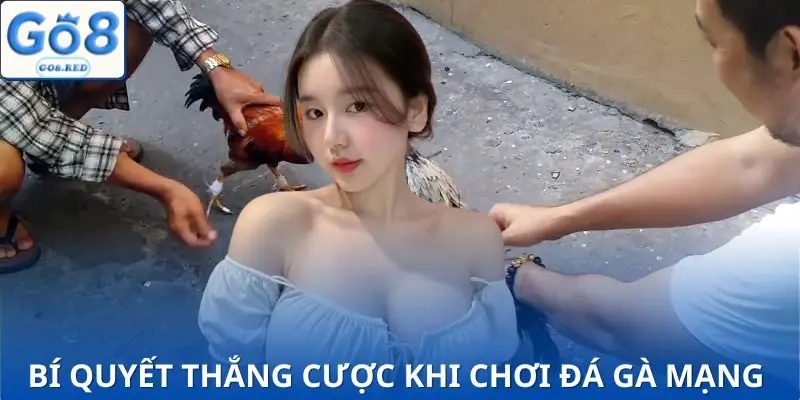 3 tuyệt chiêu chơi đá gà mạng mà dân chuyên nào cũng biết