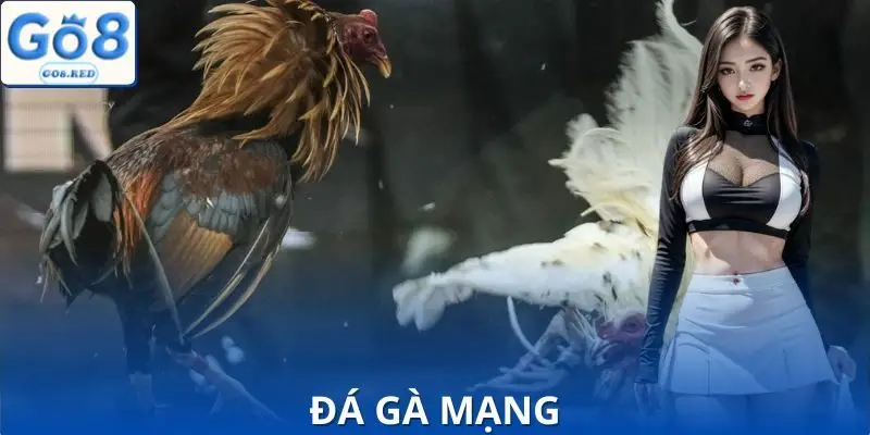 Mẹo Chơi Đá Gà Mạng