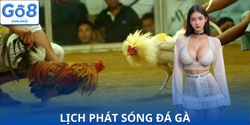 Cập nhập lịch phát sóng đá gà mới nhất