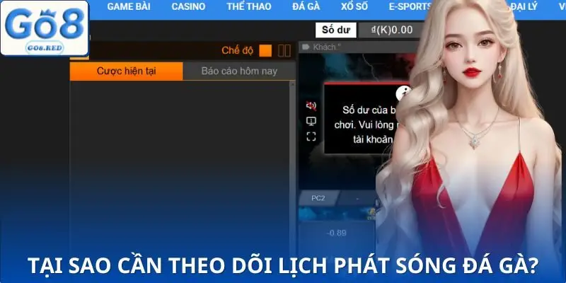 Nguyên nhân có lịch phát sóng đá gà